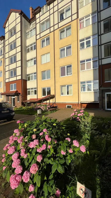 Светлогорск: Квартира MoreArti
