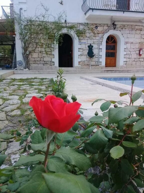 Адрасан: Maviay Hotel