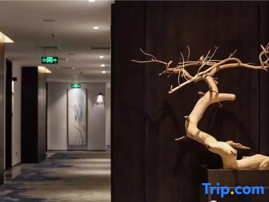 Шэньчжэнь: Ying Hotel