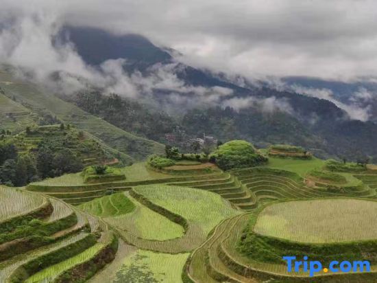 Longsheng: Longji Rice Terraces Jiamei Pavilion