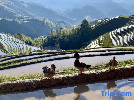Longsheng: Longji Rice Terraces Jiamei Pavilion