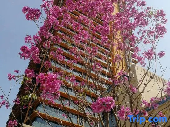 Хойчжоу: Huizhou Huidong Shuangyuewan Pig Dac Villa Foreign Room Seaside B&B (Vanke Phase 2)