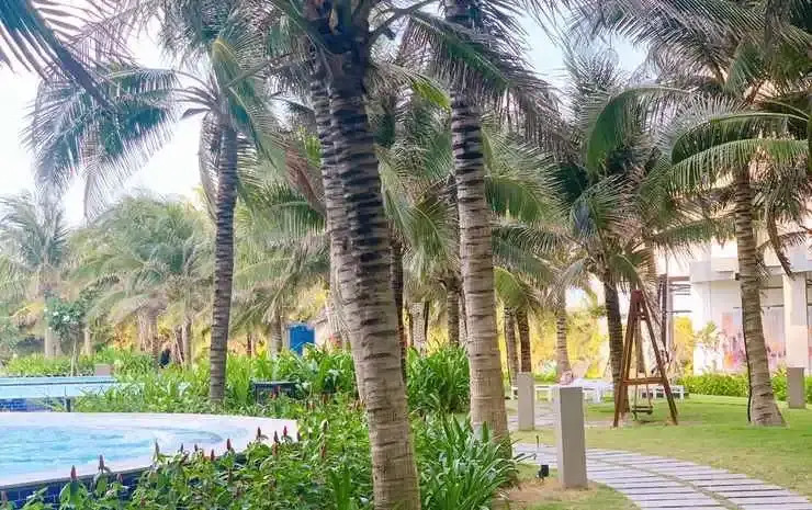 The Sea View Cam Ranh Beach Apartment — фото 3