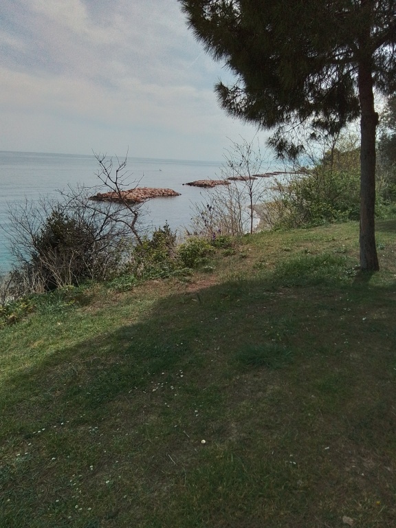 Герзе: Частный дом Gerze Beyaz Yalı Tatil Evi