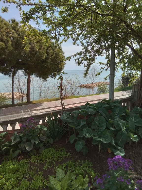 Герзе: Частный дом Gerze Beyaz Yalı Tatil Evi
