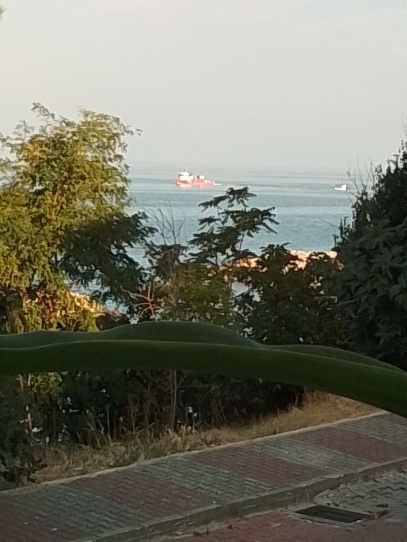 Герзе: Частный дом Gerze Beyaz Yalı Tatil Evi