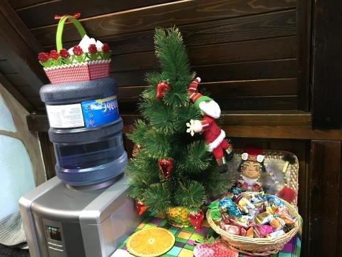 Белокуриха: Hostel Dom Turista