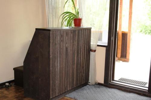 Белокуриха: Hostel Ulej