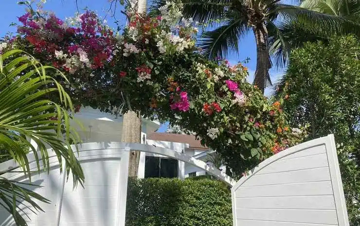 Ко-Пханган: Bougain Villas Salad Beach