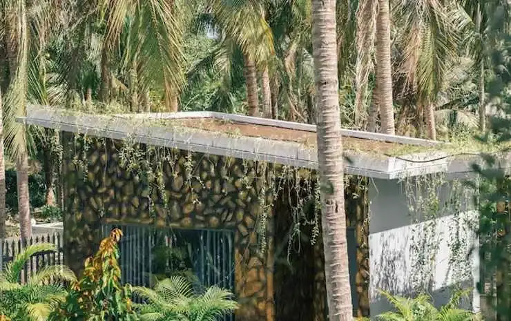 Бенче: Homestay Bao Binh