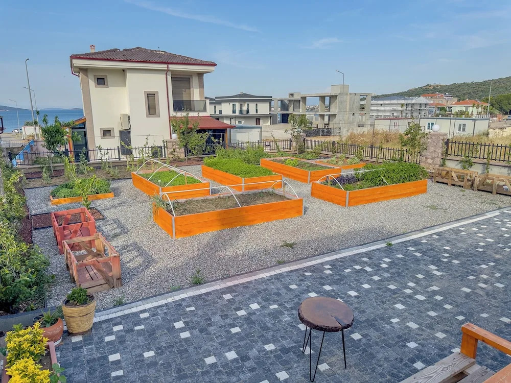 Айвалык: Back Sea Cunda Apart Otel