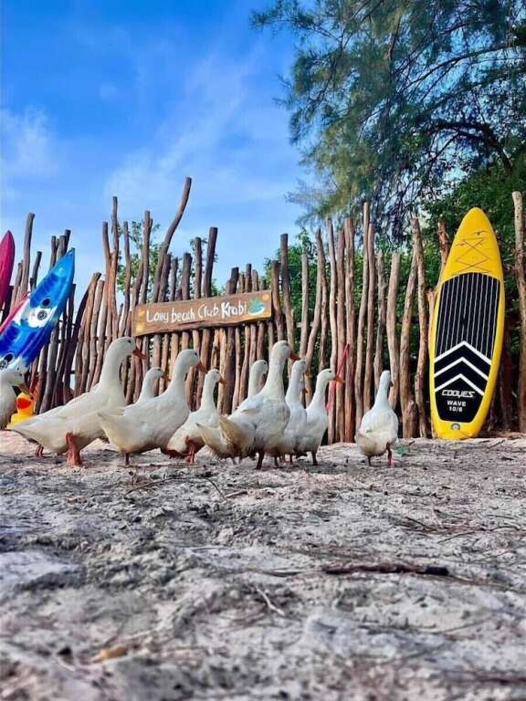 Краби: Long Beach Club Krabi