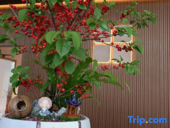 Бэйхай: Hilton Garden Inn Beihai Jiafu