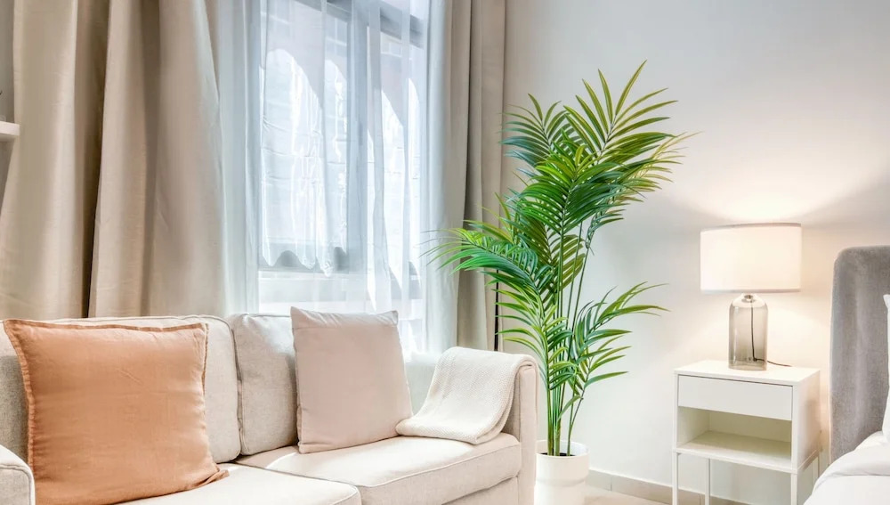 Дубай: Sanctuary Studio in Barsha Heights