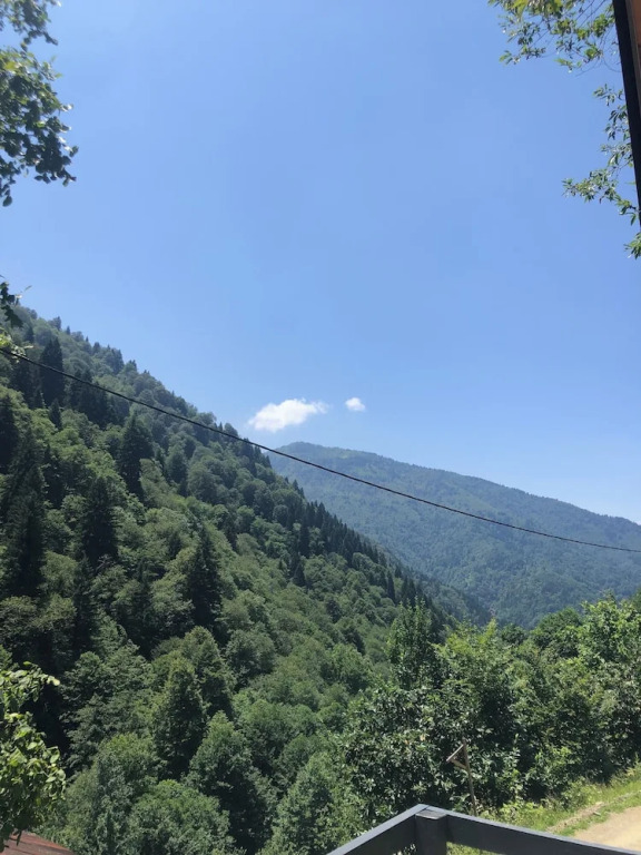 Чамлыхемшин: Ayder Çalikuşu Bungalov