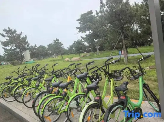 Жичжао: Wyndham Garden Rizhao Donggang Resort