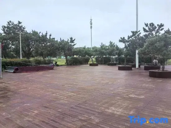 Жичжао: Wyndham Garden Rizhao Donggang Resort