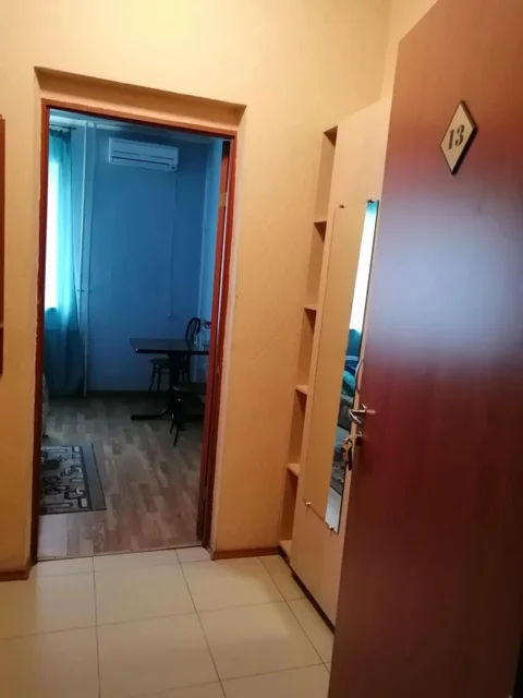 Камышин: Евролюкс