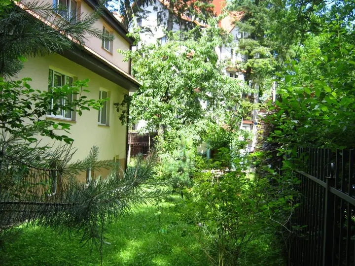 Светлогорск: Гостевой дом Сосны