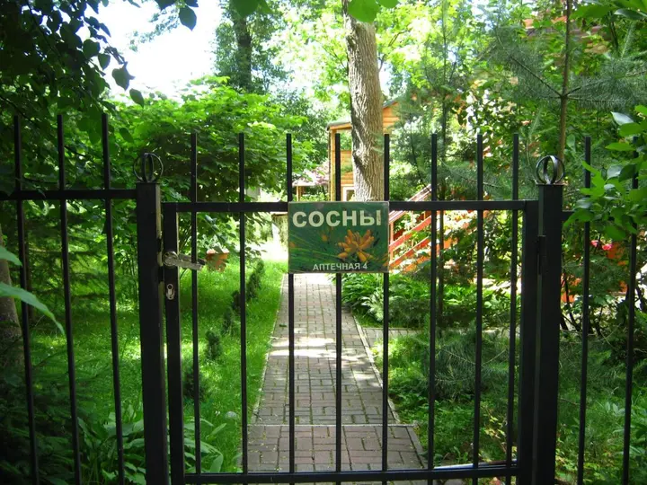 Светлогорск: Гостевой дом Сосны