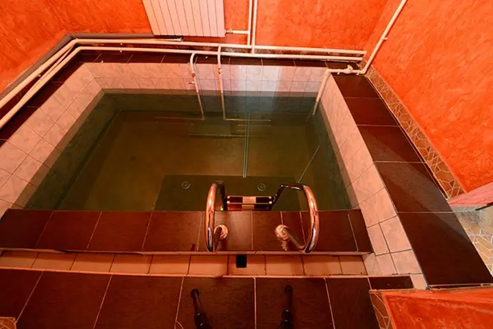 Zolotoy Lev — фото 1