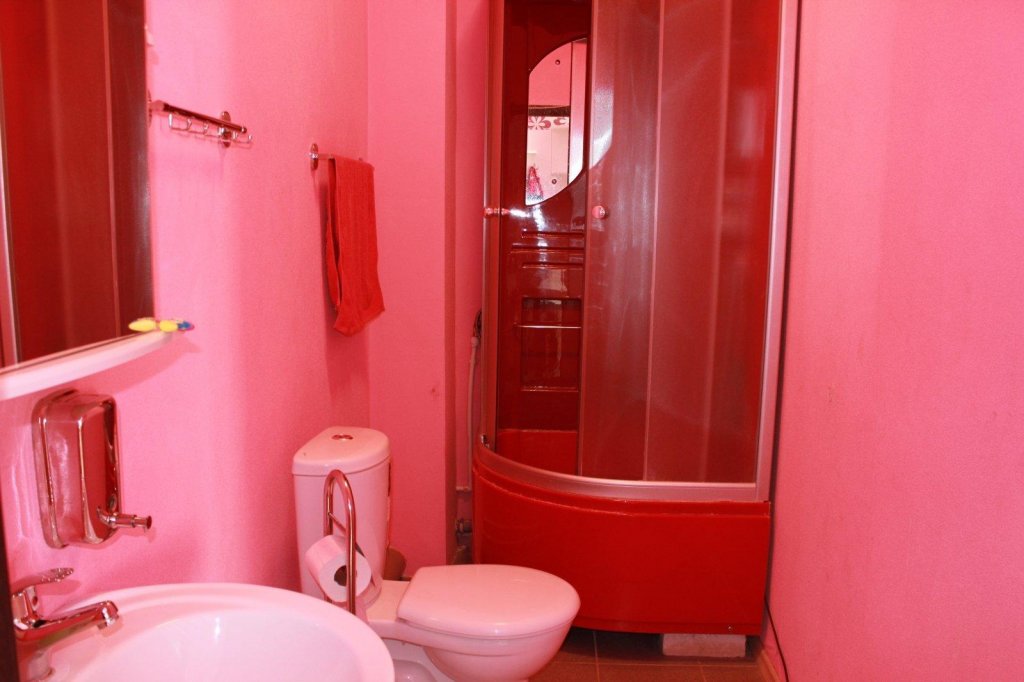 Gostevoj dom "Pink House" — фото 3