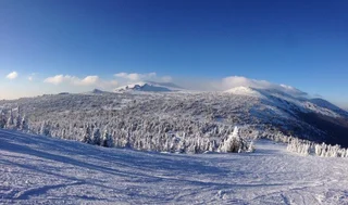 Шерегеш: Kvartira u Kukuruzy