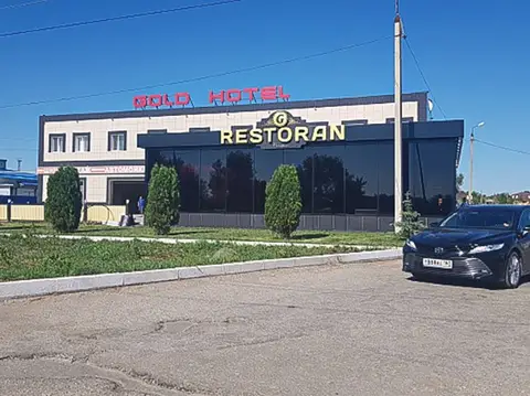Гостевой дом Gold — фото 1
