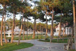 Песчаное: Отель Alma Park Resort