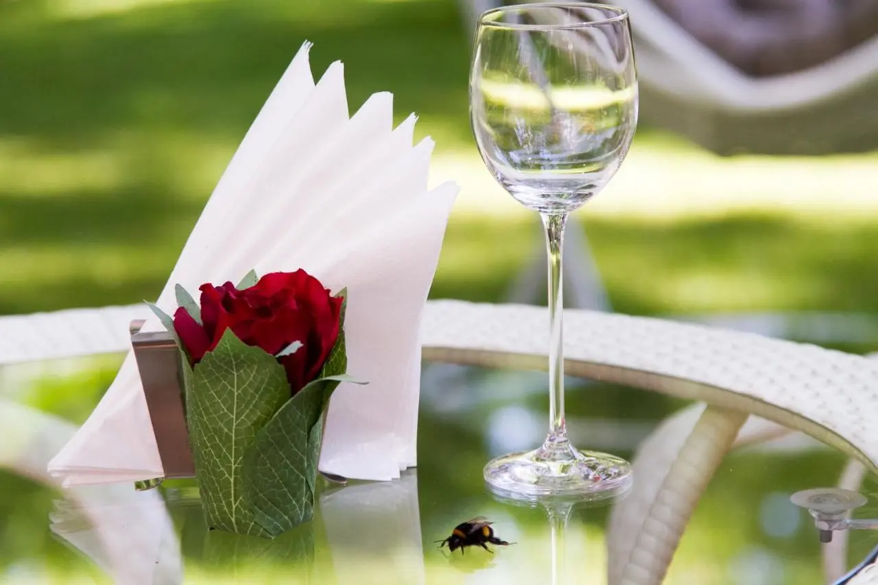 Светлогорск: Гостиница Royal Falke Resort & SPA