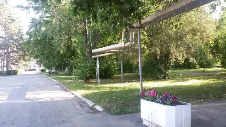 Краснодар: Сосновая Роща
