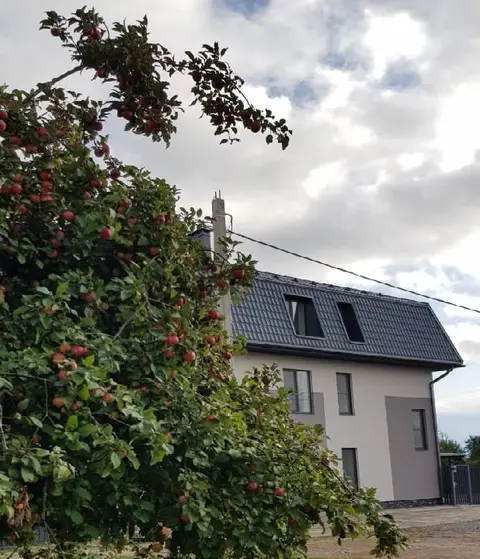 Великий Новгород: Гостевой Дом 65HOME