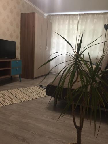 Козельск: Apartments on Yubileynaya