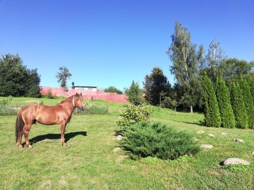 Козельск: Guest House Optinez