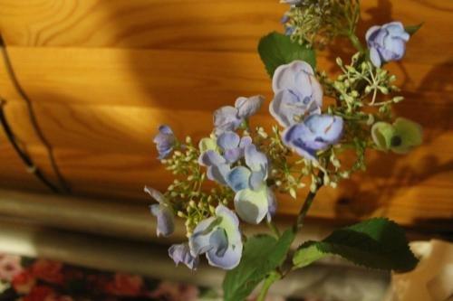 Великий Устюг: Guest house na Atlasova 31