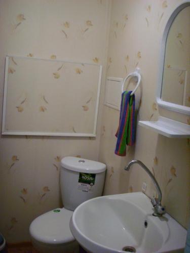 Великий Устюг: Saharova 55 Guest House