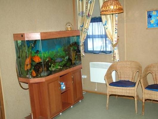 Отель Кампо Волит — фото 1