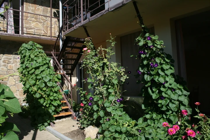 Джубга: French patio
