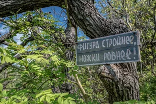 Джубга: Мини-Отель Green Wood