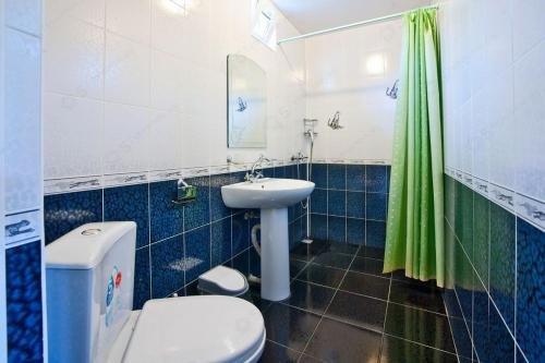 Дедеркой: Guest House Olesya