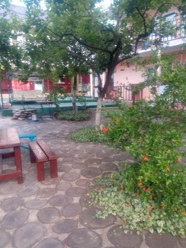 Дедеркой: Guest House Olesya