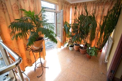 Туапсе: Guest House on Komsomolskaya 9A