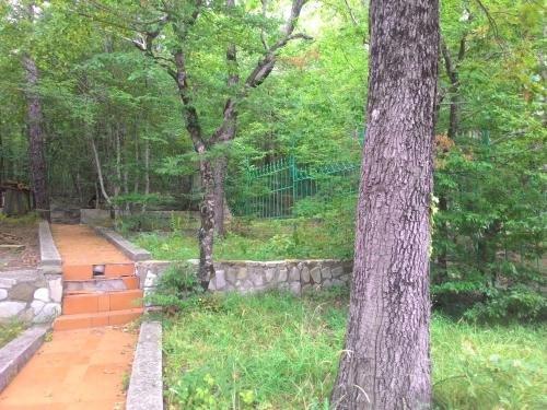 Новомихайловский: Guesthouse Loza