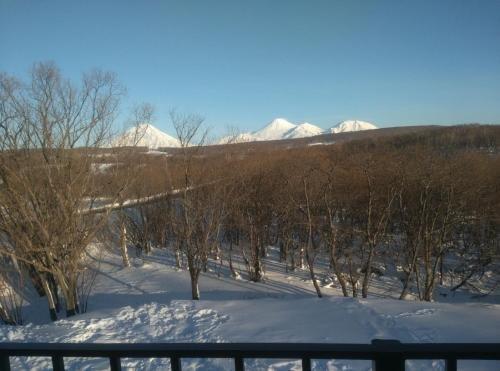 Петропавловск-Камчатский: Halaktyrsky Dvor