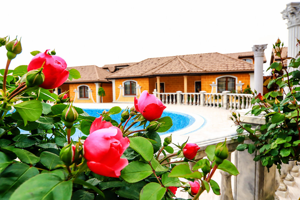 Черноморское: Leo Palace Hotel