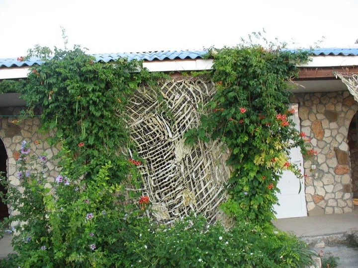 Оленевка: Morskoy Ray Guest House
