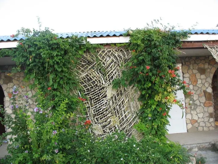 Оленевка: Morskoy Ray Guest House