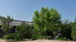 Оленевка: Morskoy Ray Guest House