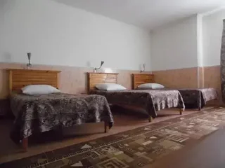 Сасово: Пегас