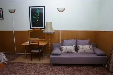 Сасово: Пегас